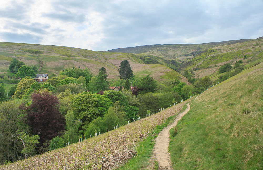 Upper Moor Upper Moor